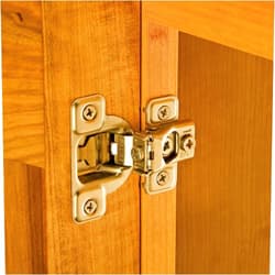Salice® Excen-Three Hinges, 106 Degree Opening, 1/2