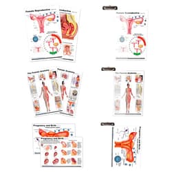 Blue Tree Publishing Female Anatomy, Pregnancy and Birth, Female Reproductive Chart with Insert clipboard