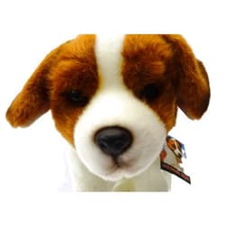 Sawley Fine Arts Jack Russell 12
