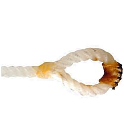 NRS 6 1/2ft Black Tail Calf String White 1/4 H