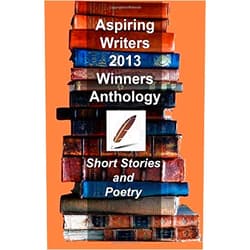 By unknown author (Author) Aspiring Writers 2013 Anthology by Riley, Betsy A, Olley, Mike, Lemon, Randall, Fix, Carrol, Da (2014) Paperback