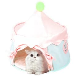 Jatmira Cute Cat Bed Foldable Kawaii Pet Tent Large with Double-Sided Cushion for Indoor Cats All-Season 19 x 19 x 16 Inches (Purple)