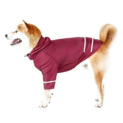 HEYWEAN Dog Surgical Recovery Suit for Dogs Keep Dog from Licking Abdominal Wound Protector E-Collar Alternative After Surgery Wear Pet Supplier