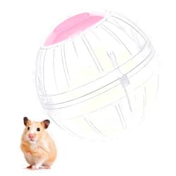 FANKUTOYS Hamster Exercise Ball, 5.7 Inch Transparent Hamster Ball Running Hamster Wheel for Dwarf Hamsters Small Pets to Reduce Boredom and Increase Activity