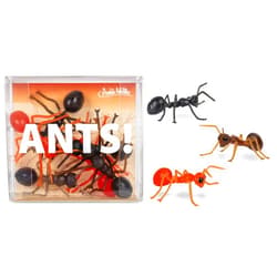 Accoutrements Mcphee Accoutrements Archie Funny Gift Box of Novelty Ants (6 Pack)