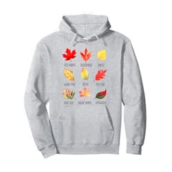 Fall Apple Picking Boho Toddler Kids Autumn Design Maple Leaf Autumn Tree Orange Fall Leaves Season for Kids Pullover Hoodie