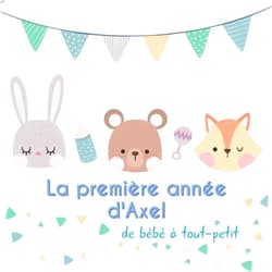 BabyMemories FR Publishing La première année d'Axel - de bébé à tout-petit: Album bébé à remplir pour la première année de vie - Album naissance garçon (French Edition)