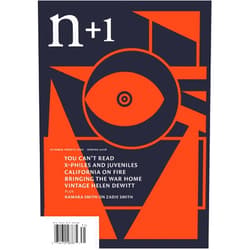 N+1,Andrea Long Chu,Alex Press,Adam Bobbette,Anthony Veasna So,Helen DeWitt,Rose Rejouis,Christina Nichol,Ari Brostoff,Natasha Stagg n+1 Issue 31: Out There
