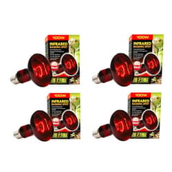 Exo Terra Heat-Glo Infrared Spot Lamp, 100-Watt/120-Volt (4 Pack)
