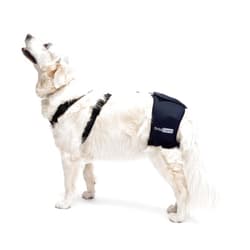 Ortocanis - Hip Support for Dogs with Hip Dysplasia or Osteoarthritis (M)