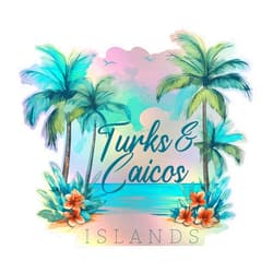 R and R Imports Turks and Caicos Islands C Holographic Souvenir Vinyl Decal Sticker 2-Inch