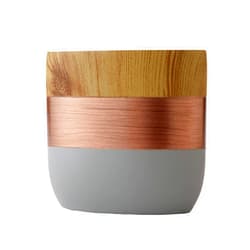 SKL Home by Saturday Knight Ltd. Liselotte Toothbrush Holder, Copper