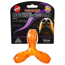 SPOT Play Strong Scent-sations Trident bone - Scent-Infused, Durable TPR Rubber, Heavy Duty Dog Toys for Aggressive Chewers up to 45lbs, Great for Small & Medium Breeds, 5in, Peanut Butter Flavored