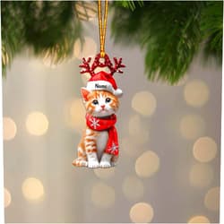 ZENTATI Personalized Munchkin Cat Ornament, Munchkin Cat Christmas Ornament Gift, Cat Car Ornament, Hanging Ornament Gift, Gift for Pet Lover ID-1007-OWFK