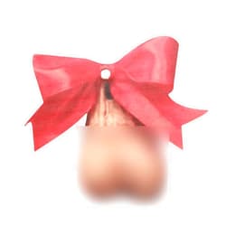 Vrogadso Funny Ornament Christmas Ornament-Flat