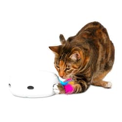 PetFusion Ambush Interactive Cat Toys for Indoor/Outdoor Activity - New & Improved Cat Feather Toys Replacement Feathers Available 12 Month Warranty