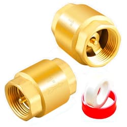 Boltigen 2PCS 1 Inch NPT Female Thread Spring Check Valve, Solid Brass Non Return One Way Horizontal Check Valve, Vertical In-Line Water Check Valve for Well, Pump, Tank, Backflow Prevention