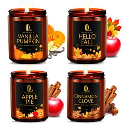 DL DREAMY DEWLA Fall Candle Set, Fall Candles for Home Scented, 4 Pack Soy Candles for Autumn, Aromatherapy Candle Gift Set for Women Men, Fall Scents of Pumpkin/Apple Pie/Hello Fall/Vanilla Cupcake