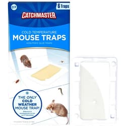 Catchmaster Cold Weather Mouse Traps Indoor for Home 6PK, Winter Pest Control Adhesive Tray for Bugs, Crickets, & Spiders, Pet Safe Glue Traps for Mice in Basement, Walk-In Fridge, Warehouse, & Garage