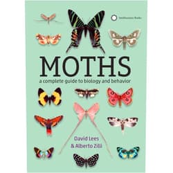 David Lees,Alberto Zilli Moths: A Complete Guide to Biology and Behavior