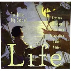 Lena Tabori,Natasha Tabori Fried Little Big Book Of Life (Little Big Book, 15)