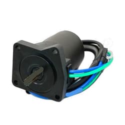 VPLYNWQKZ 65W-43880 Tilt Trim Motor Compatible with Yamaha 25HP 30HP 40HP F20 F25 F45 Parsun Hidea Seapro HDX 65W-43880-00 67C-43880-00 67C-43880-01