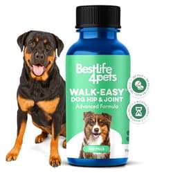 BestLife4Pets Advanced Hip and Joint Supplement for Dogs, Natural Extra Strength Dog Arthritis Pain Relief & Anti Inflammatory for Dogs Helps Limping, Mobility Issues, Hip Dysplasia, ACL Tears, 180 Tiny Pills