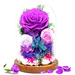 Impouo Valentine's Day Flowers Gifts for Her,Preserved Rose in Glass Dome, Forever Flowers for Delivery,Birthday Gifts for Wife Women, Grilfriend Mom-Purple