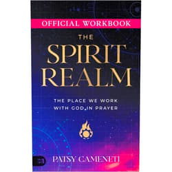 By Patsy Cameneti (Author) The Official Workbook for The Spirit Realm: The Place We Work with God in Prayer