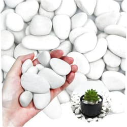 Lechloris 20Ib Pearl White River Rocks for Landscaping-Polished Pebbles for Plants-Garden Decorative Stones-1-1.5