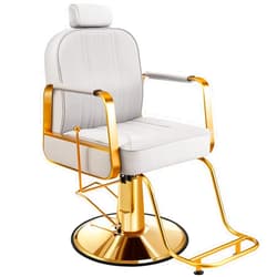 Baasha All-Purpose Reclining Gold Salon Chair with Adjustable Headrest, Comfortable Hair Chair with Heavy-Duty Hydraulic Pump, Memory Sponge, 360 Swivel, Tattoo Chair, Weight Capacity 440lbs - Gray
