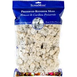 SuperMoss (23193) Reindeer Moss Preserved, White, 8oz Bag
