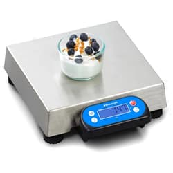 Brecknell 6710U POS Bench Scale, 30lb. 10