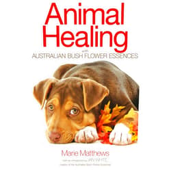 Marie Matthews Animal Healing with Australian Bush Flower Essences