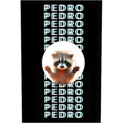 Ana Paola Pedro Pedro Pedro: Libreta de notas con diseño de mapaches (Spanish Edition)
