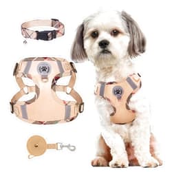 BEAUTYZOO Step in Dog Harness Collar and Leash Set for Small Medium Large Dogs, No Pull No Choke Puppy Harness,Soft Mesh Reflective Pet Padded Vest Adjustable for Doggie Girl or Boy,Chihuahua,Beige XS