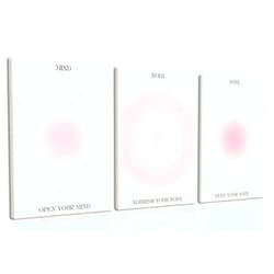 KISSFOX 3 Piece Canvas Wall Art Pink Wall Decor Aura Framed Art Mind Body Soul Pictures Trendy Aesthetic Preppy Paintings For Apartment Dorm Women Girls Bedroom