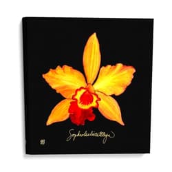 Canvas Lab Canvas Wall Art Decor Vivid Orchid VI by the Artist Ginny Joyner – Size: 18 x 18 in - Art subject: Botanical,Floral,Nature,Tropical,Food,Contemporary