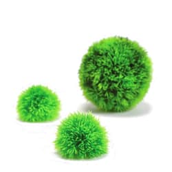 biOrb Aquatic Topiary Pack