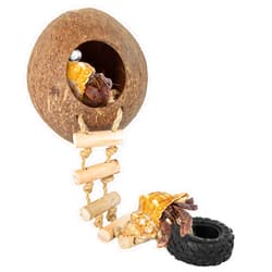 REPTIZOO Hermit Crab Coconut Shell Hideout, Leopard Gecko Hide Cave with Ladder, Reptile Coco Hut Cave Habitat with Suction Cup Terrarium Décor for Crested Gecko,Hermit Crab, Lizard, Leopard Gecko