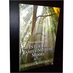 By unknown author (Author) Introduction to the Internal Family Systems Model by Ph.D. Richard C. Schwartz (23-Jun-1905) Paperback