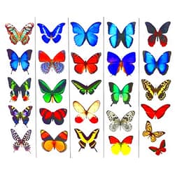 Butterfly Utopia Colorful Temporary Butterfly Tattoos - 5 Sheets - by Butterfly Utopia