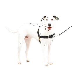 PetSafe Easy Walk No-Pull Dog Harness - The Ultimate Harness to Help Stop Pulling - Take Control & Teach Better Leash Manners - Helps Prevent Pets Pulling on Walks, Medium/Large, Black/Silver