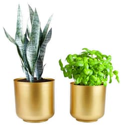 Vixdonos Large Gold Planters Metal Aloe Brass-Tone Plant Pots Indoor decorative Flower Pots with Drain Holes(8+7.1Inch)