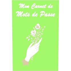 Carnet sécurisé Mon carnet de mots de passe: Carnet répertoire alphabétique de vos identifiants - 130 pages - 4 saisies par page - cahier/bloc efficace - pour noter ... par ordre alphabétique ... (French Edition)