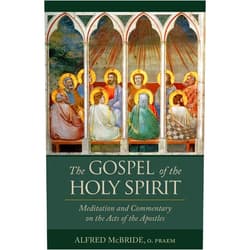 By Alfred McBride O.Praem. (Author) The Gospel of the Holy Spirit: Meditation and Commentary on the Acts of the Apostles