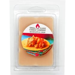 Small Flame Candle Company 2 Pack Hand-Crafted Natural Soy Wax Melt from Small Flame Candle Company (Warm Apple Crisp)