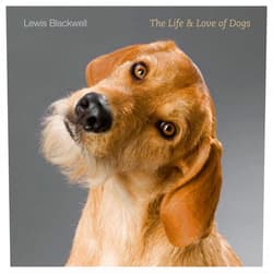 Lewis Blackwell The Life & Love of Dogs