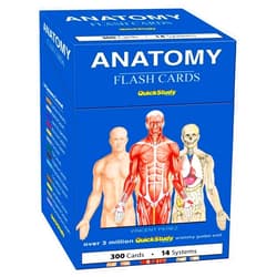 Vincent Perez Anatomy Flash Cards: a QuickStudy Reference & Study Tool