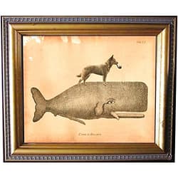 Handmade Australian Cattle Dog Riding Whale Vintage Collage Semi-Matte Photo Print Tea Stained Background dog art dog gift for dog mom gift for her dog novelty gift wall decor art print
